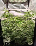 Day 58 (30.12) (2).jpg