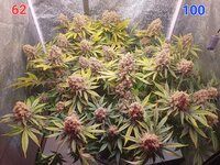 20251227_224208.jpg 20251227_224208.jpg