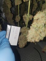 20251229_185042.jpg 20251229_185042.jpg