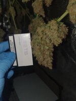 20251229_185033.jpg 20251229_185033.jpg