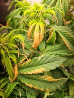 20260104_172221.jpg 20260104_172221.jpg