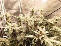 photo_2026-01-09_18-06-16 (2).jpg