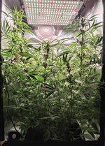 Day 72 (13.01) (2).jpg