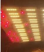 Screenshot_2026-01-14-19-33-01-475-edit_ru.semena.sch.jpg Screenshot_2026-01-14-19-33-01-475-edit_ru.semena.sch.jpg