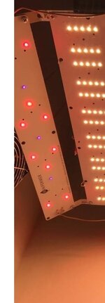 Screenshot_2026-01-14-19-32-23-441-edit_ru.semena.sch.jpg Screenshot_2026-01-14-19-32-23-441-edit_ru.semena.sch.jpg