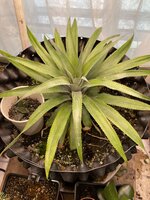 IMG_2510.jpeg IMG_2510.jpeg