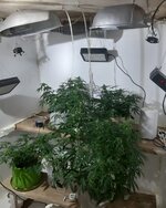 20260122_060726.jpg 20260122_060726.jpg