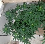 20260122_062922.jpg 20260122_062922.jpg