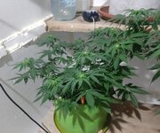 20260122_062910.jpg 20260122_062910.jpg