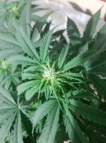 20260122_062937.jpg 20260122_062937.jpg