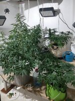 20260122_071152.jpg 20260122_071152.jpg