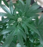 20260122_071101.jpg 20260122_071101.jpg