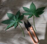 20260122_071139.jpg 20260122_071139.jpg