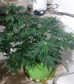 20260122_071633.jpg 20260122_071633.jpg