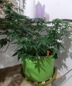 20260123_065224.jpg 20260123_065224.jpg