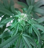 20260123_065210.jpg 20260123_065210.jpg