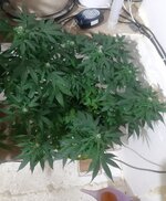 20260123_070449.jpg 20260123_070449.jpg