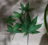 20260123_072320.jpg 20260123_072320.jpg