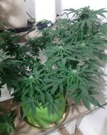 20260123_073237.jpg 20260123_073237.jpg