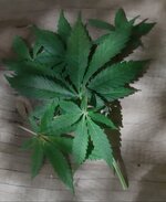 20260123_073226.jpg 20260123_073226.jpg