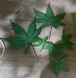 20260123_073605.jpg 20260123_073605.jpg