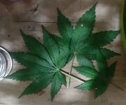 20260123_074418.jpg 20260123_074418.jpg