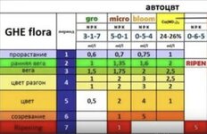 IMG_2112.jpeg IMG_2112.jpeg