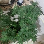 20260124_064233.jpg 20260124_064233.jpg