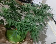 20260124_064220.jpg 20260124_064220.jpg