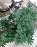 20260124_064902.jpg 20260124_064902.jpg