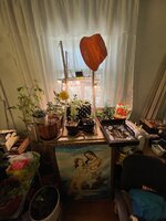 IMG_2724.jpeg IMG_2724.jpeg