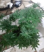 20260125_061241.jpg 20260125_061241.jpg