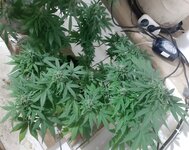 20260125_062059.jpg 20260125_062059.jpg