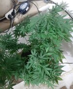 20260125_063148.jpg 20260125_063148.jpg