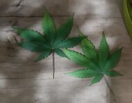 20250521_223545.jpg 20250521_223545.jpg