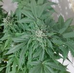 20260125_063940.jpg 20260125_063940.jpg