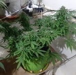 20260125_064624.jpg 20260125_064624.jpg