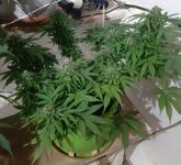 20260125_070144.jpg 20260125_070144.jpg