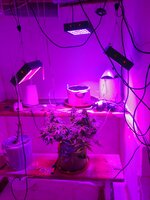 20260125_082404.jpg 20260125_082404.jpg