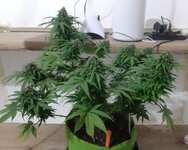 20260125_094459.jpg 20260125_094459.jpg