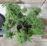 20260125_101412.jpg 20260125_101412.jpg