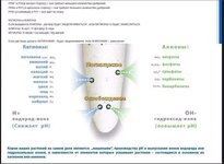 подвижки пш.jpg