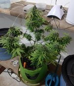 20260126_064721.jpg 20260126_064721.jpg