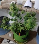 20260126_065056.jpg 20260126_065056.jpg