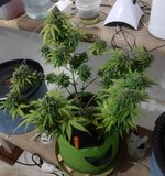 20260126_070143.jpg 20260126_070143.jpg