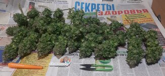 20260127_061027.jpg 20260127_061027.jpg