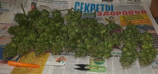 20260127_060959.jpg 20260127_060959.jpg