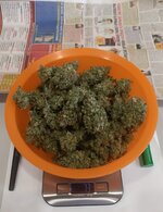 20260127_060734.jpg 20260127_060734.jpg