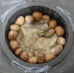 20250607_202619.jpg 20250607_202619.jpg