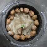 20250608_214310.jpg 20250608_214310.jpg